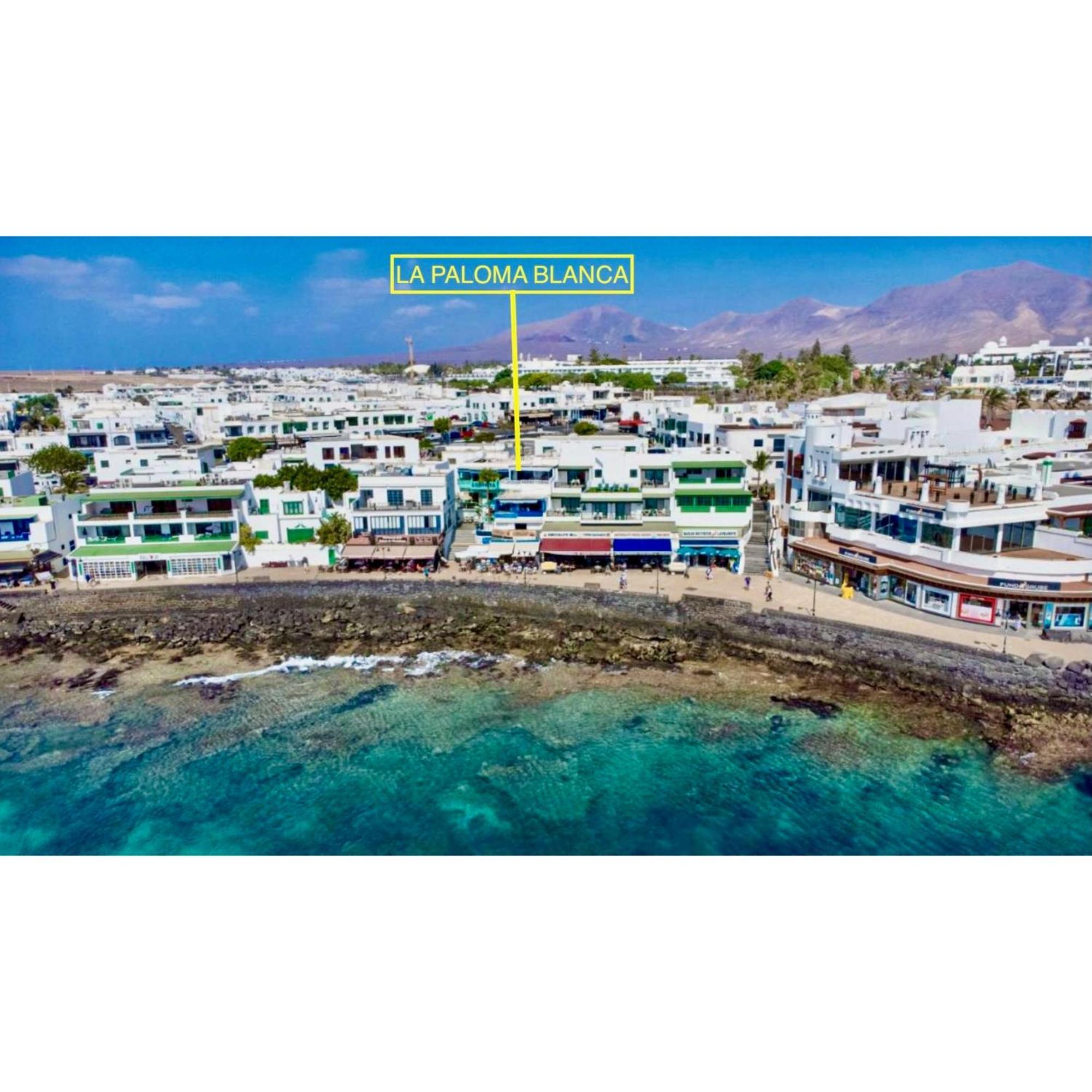 La Paloma Blanca The White Dove Apartment Playa Blanca  Ngoại thất bức ảnh